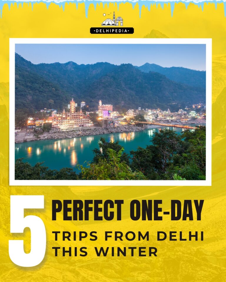 Top 5 Flower Markets in Delhi Delhipedia